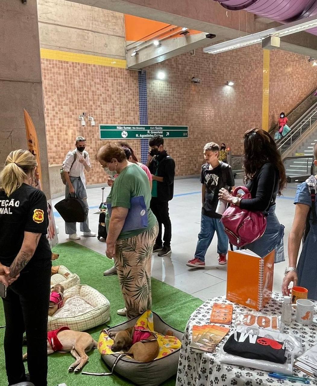 Feira de adoção da ONG Cão Sem Dono nas estações do Metrô