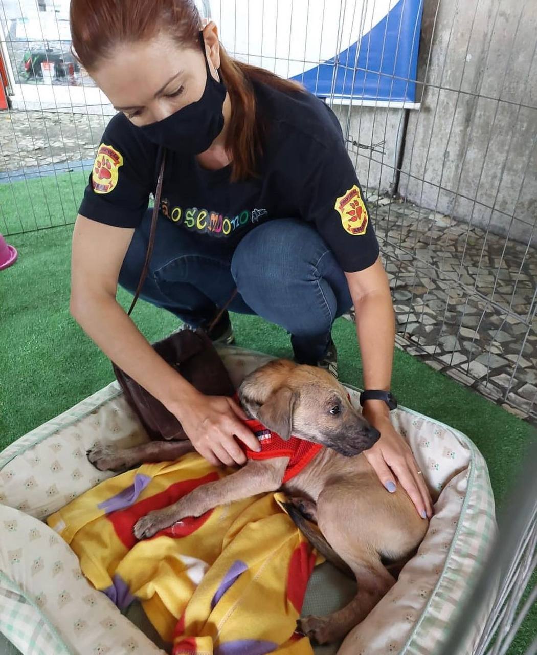 Feira de adoção da ONG Cão Sem Dono nas estações do Metrô