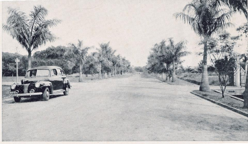 Jardim Botânico de São Paulo em 1943 - Foto: Acervo do Instituto de Botânica