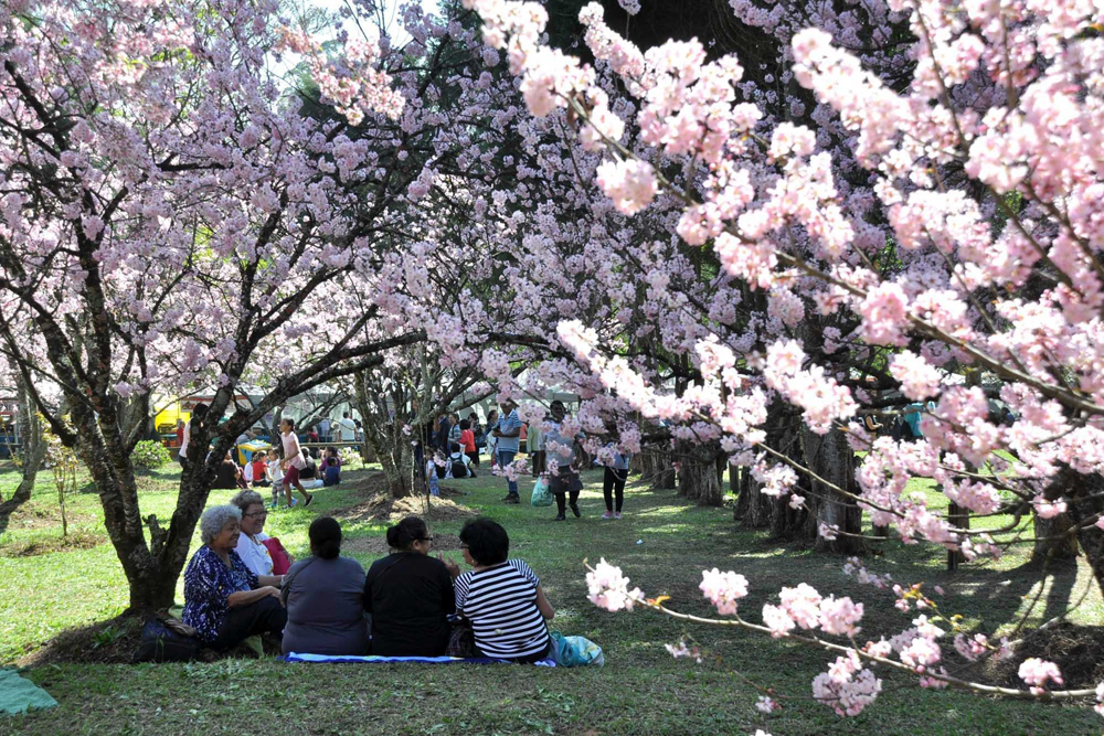 Parque do Carmo - Foto: Aglécio Dias/Folhapress