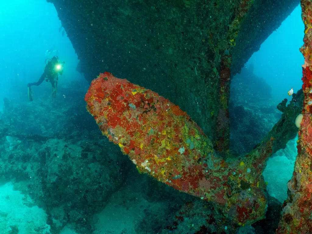 Naufrágios na região do Triângulo das Bermudas brasileiro 