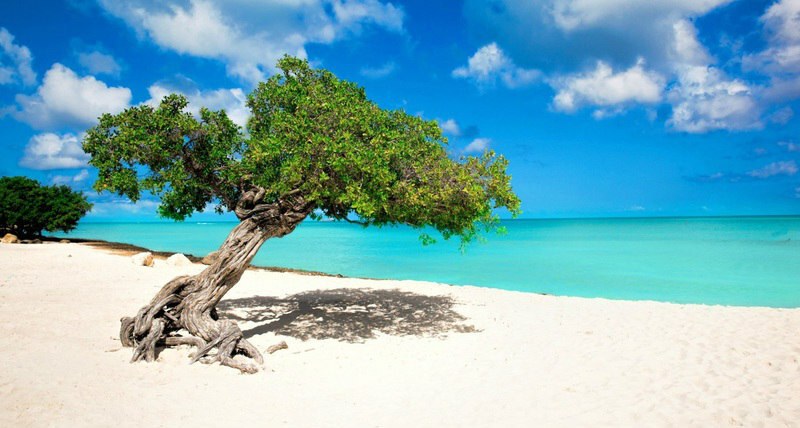 5. Eagle Beach - Palm/Eagle Beach, Aruba