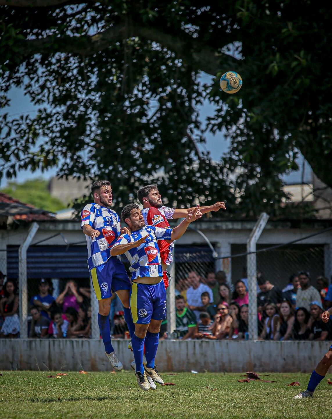Foto: Honae Pereira