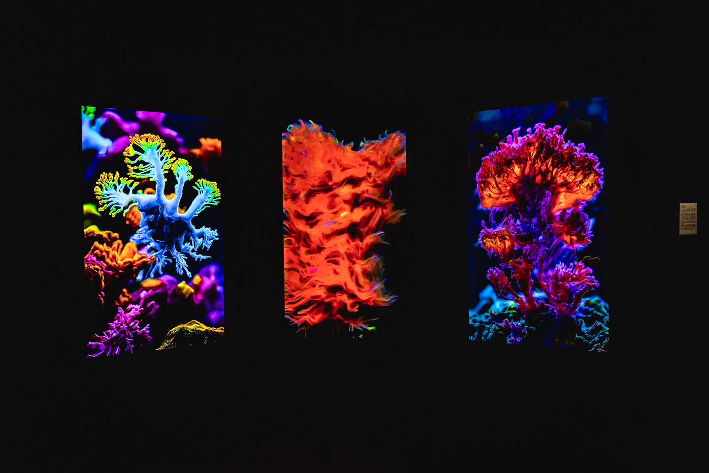 Exposição CCBB