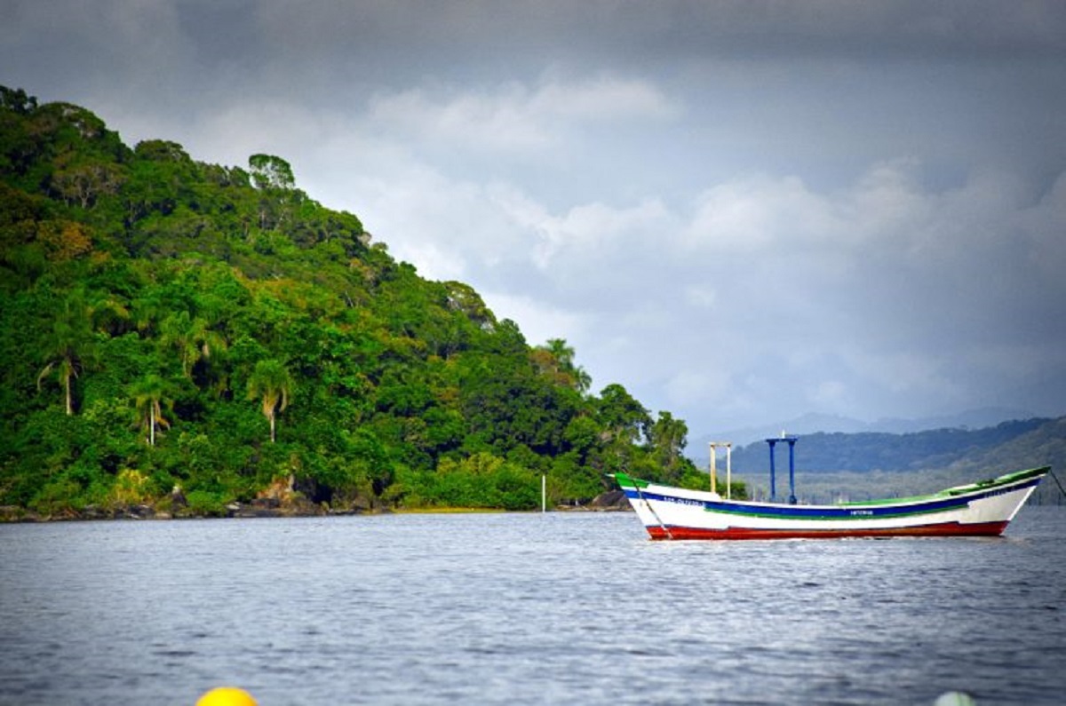 Ilha do Cardoso, em Cananéia, região do Vale do Ribeira. Fotos: Divulgação/Google Arts and Culture