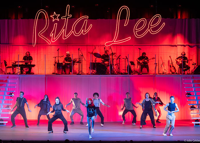 Rita Lee Uma Autobiografia Musical