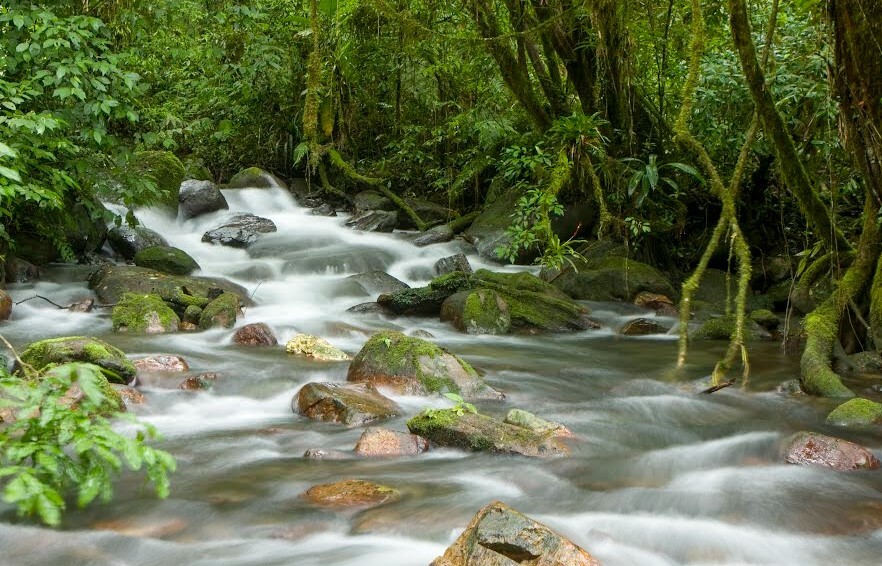 Trilha Betari fica em Iporanga e acompanha o Vale do Rio Betari