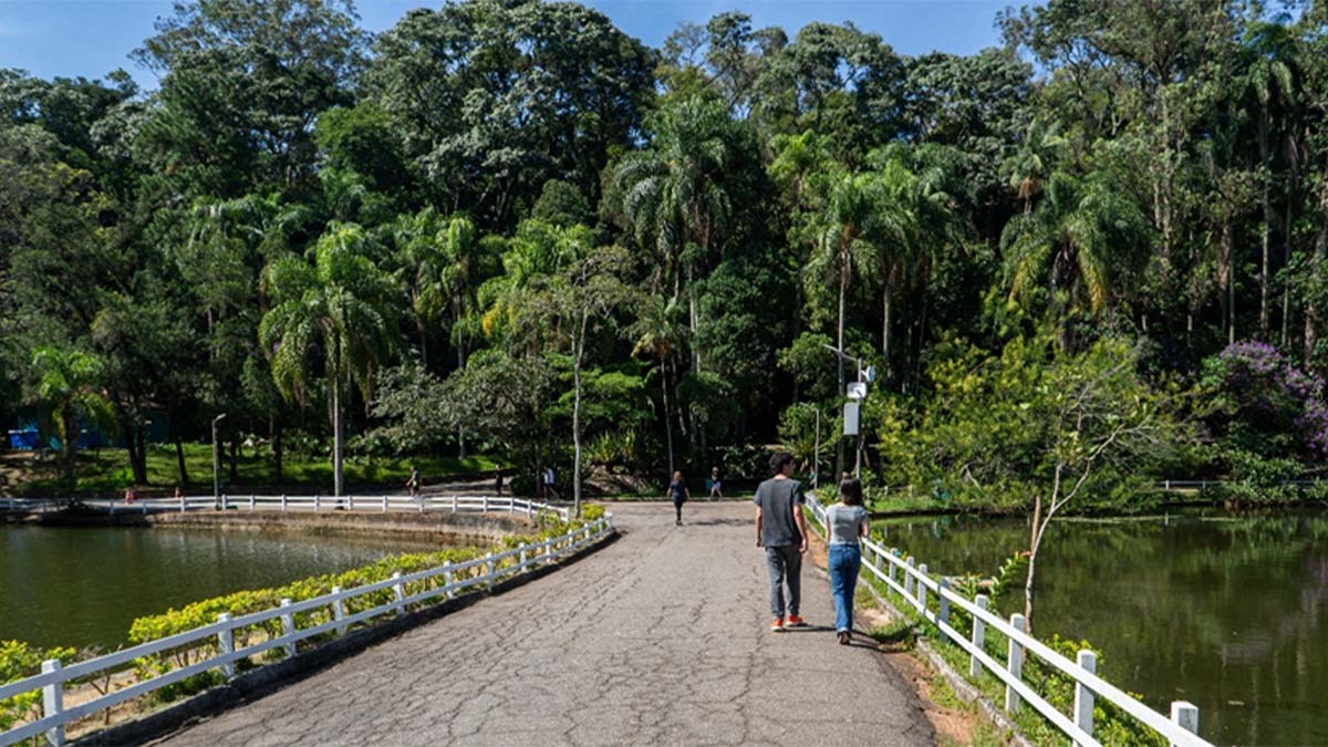 Horto Florestal - Foto: Divulgação