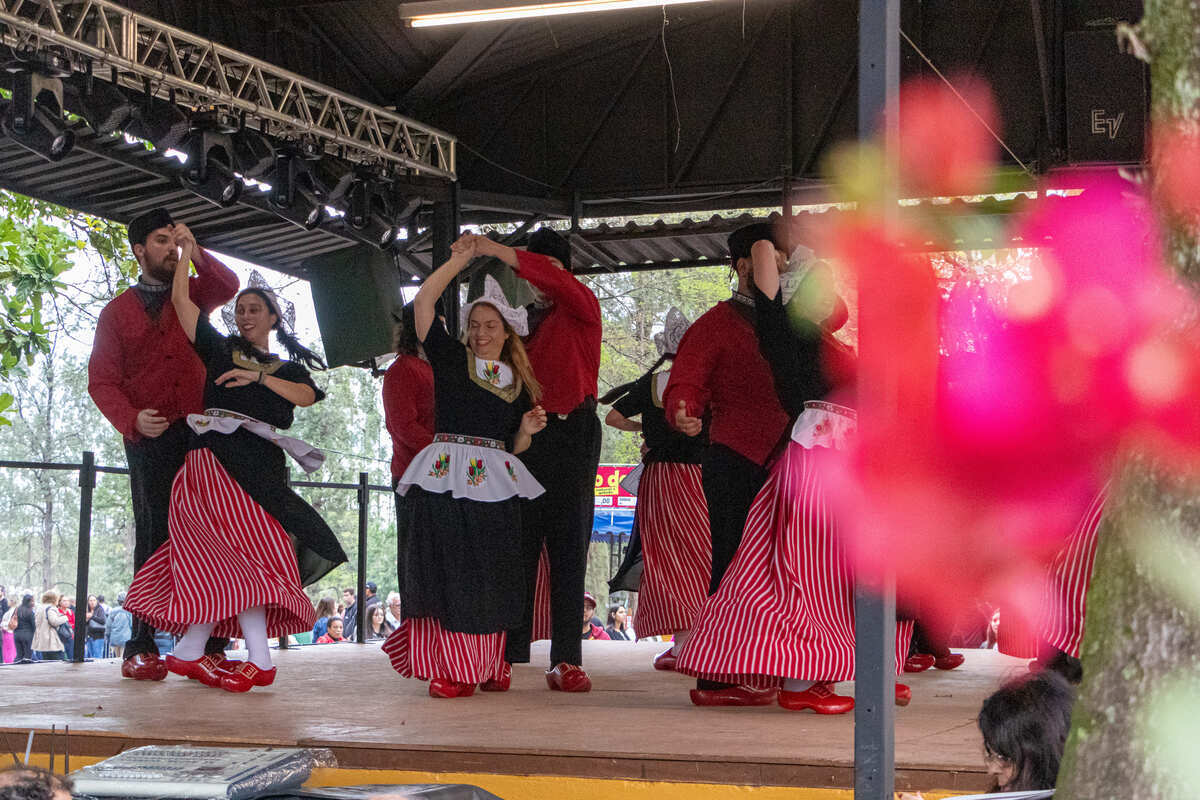 Além da oportunidade perfeita para apreciar a beleza natural das flores e plantas, a festa proporciona um mergulho na cultura com cerca de 250 apresentações típicas de dança e música - (Divulgação)
