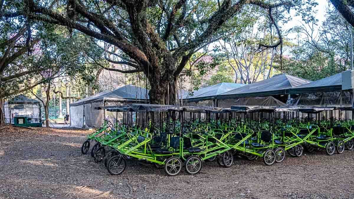 Parque Ibirapuera completa 70 anos Foto: Rodrigo Pivas/Gazeta de São Paulo