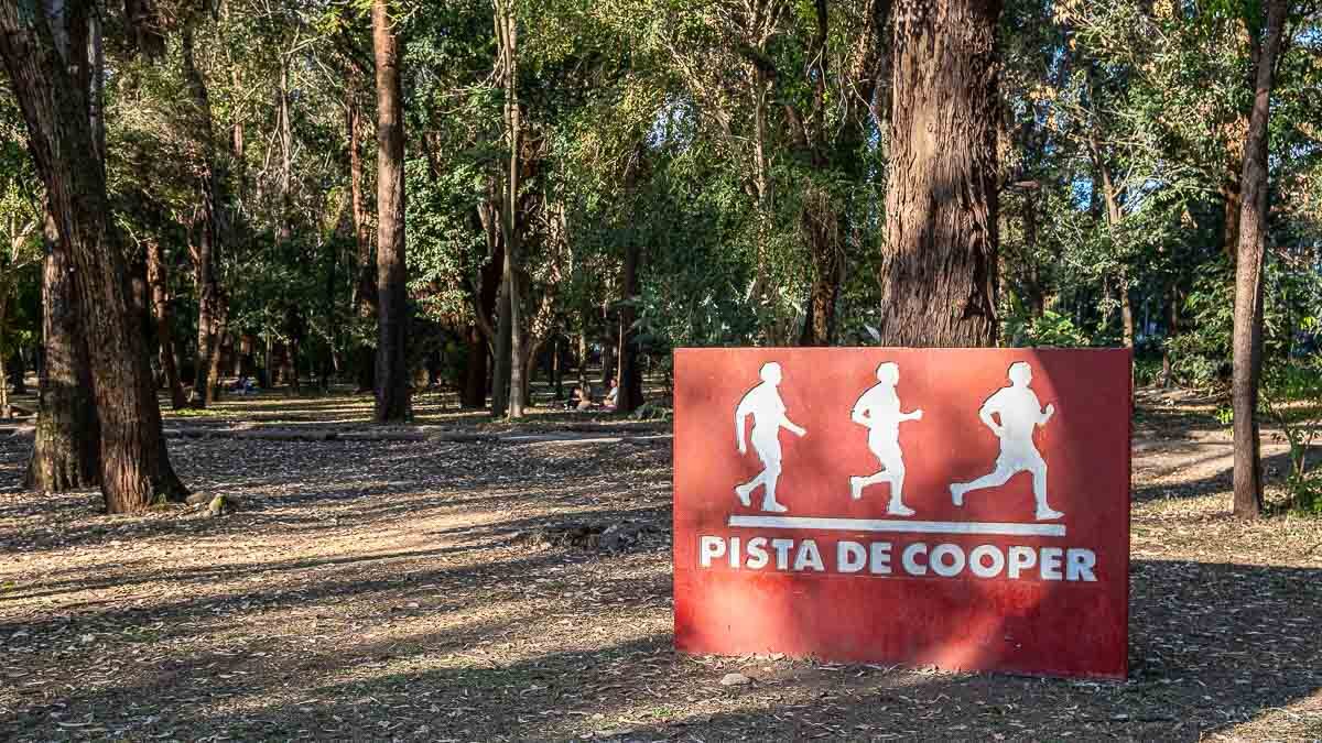 Parque Ibirapuera completa 70 anos Foto: Rodrigo Pivas/Gazeta de São Paulo