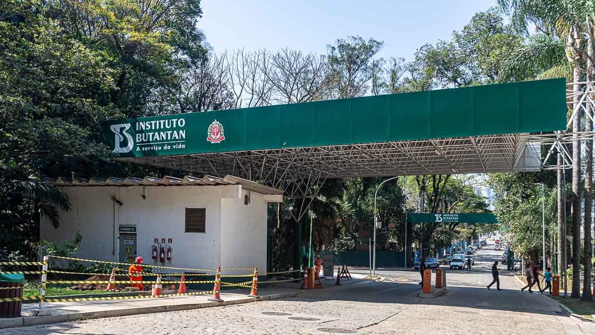 O Instituto Butantan é o maior produtor de vacinas e soros da América Latina e o principal produtor de imunobiológicos do Brasil. Referência mundial de eficiência e qualidade, é responsável pela maioria dos soros hiperimunes utilizados no Brasil contra venenos de animais peçonhentos, toxinas bacterianas e o vírus da raiva. / Foto: Rodrigo Pivas/Gazeta de São Paulo