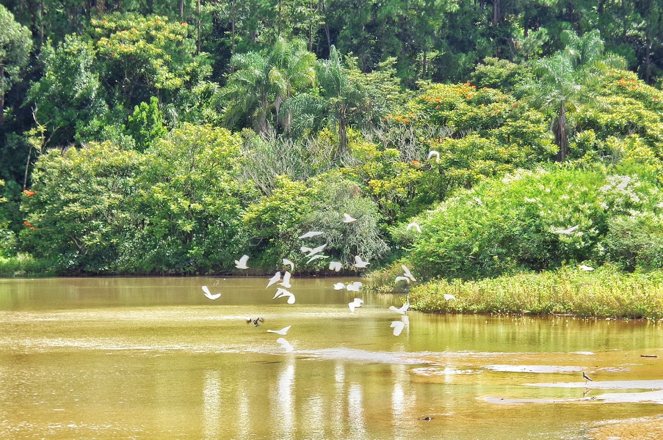O nível de poluição do local é mais baixo que a média nacional. A temperatura média anual é de 19,6 ºC, o que segundo os moradores e visitantes, contribui para tornar o local muito agradável - (Cristiano Souza/Google Reviews)