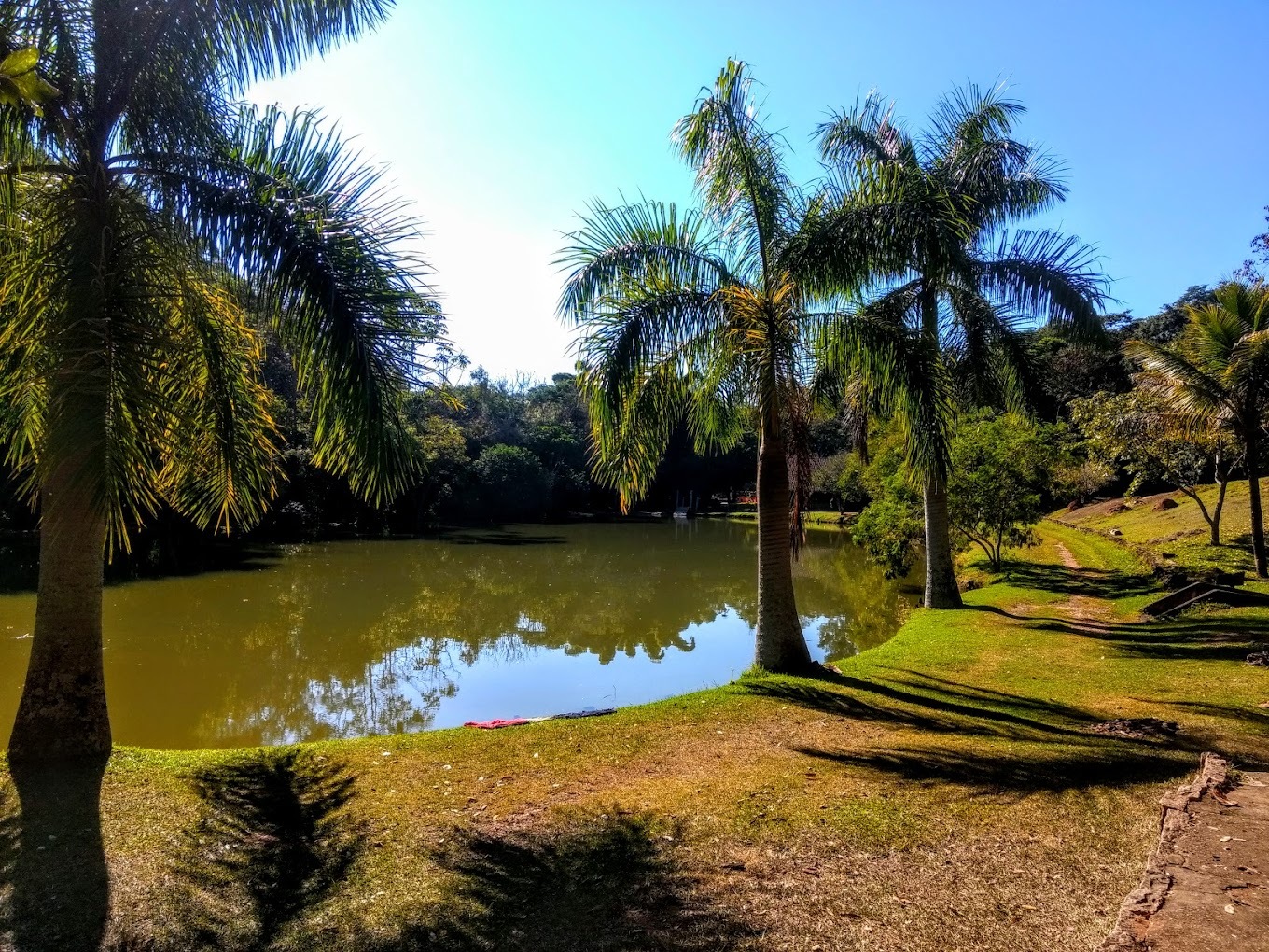 O Parque Aui Mauê é pet friendly e um ótimo passeio para o ecoturismo. No local, há uma base operacional completa para que a experiência se torne mais emocionante. Ainda há a opção de fazer rafting, tirolesa, caiaque e stand-up paddle - (Foto: PedroRomano73 Esporte/Google Reviews)