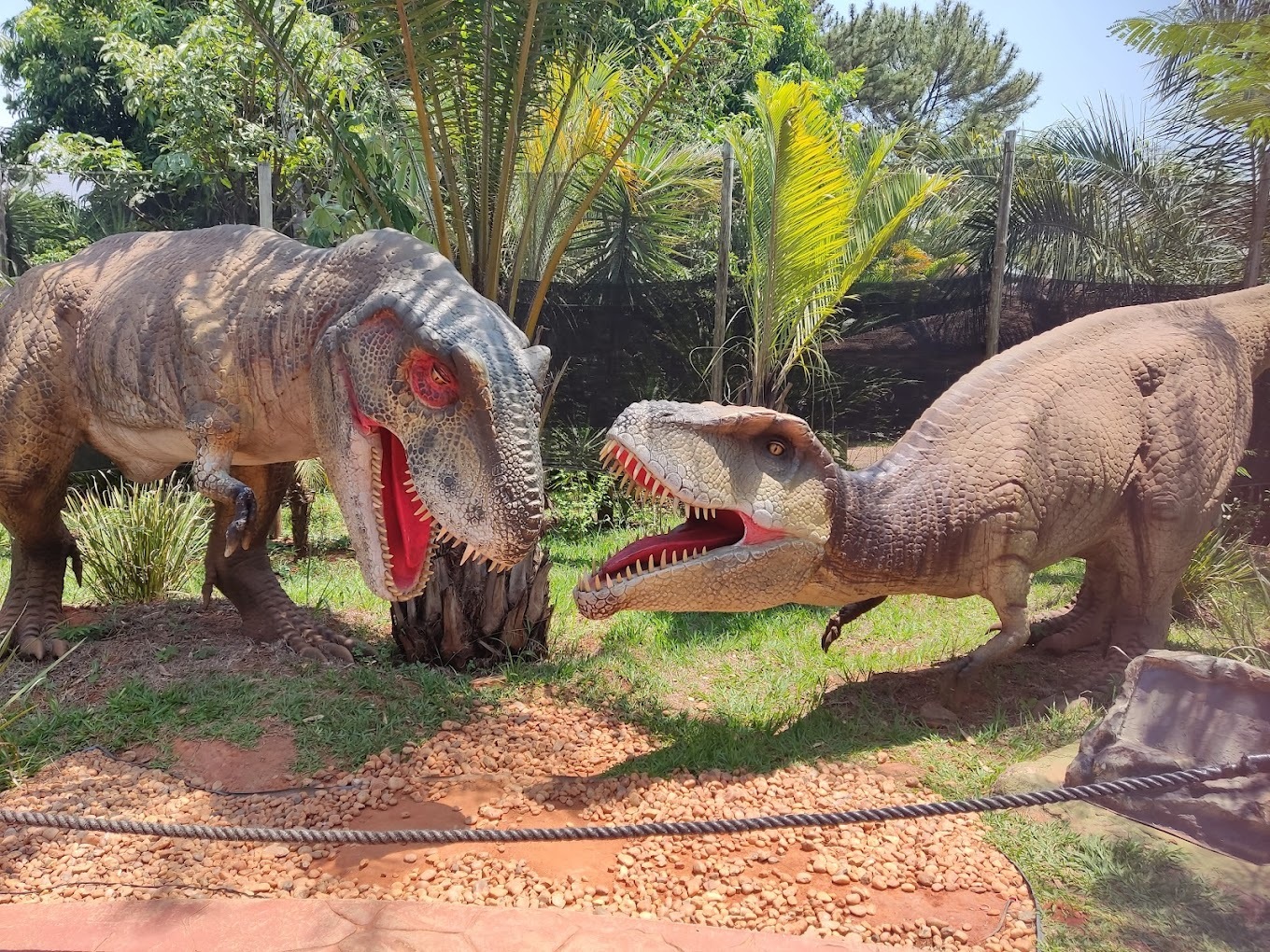 O Vale dos Dinossauros Olímpia é um parque temático localizado em uma extensa área de 10 mil m². O destaque fica para a apresentação de 38 dinossauros animatrônicos, incluindo o famoso Tiranossauro Rex e o colossal Brachiosaurus - (Iasmim Kellen/Google Reviews)