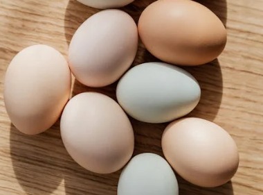 Já os ovos orgânicos são produzidos em sistemas certificados que garantem o bem-estar das aves e a ausência de pesticidas e antibióticos em sua alimentação - (Karolina Kaboompics/Pexels)