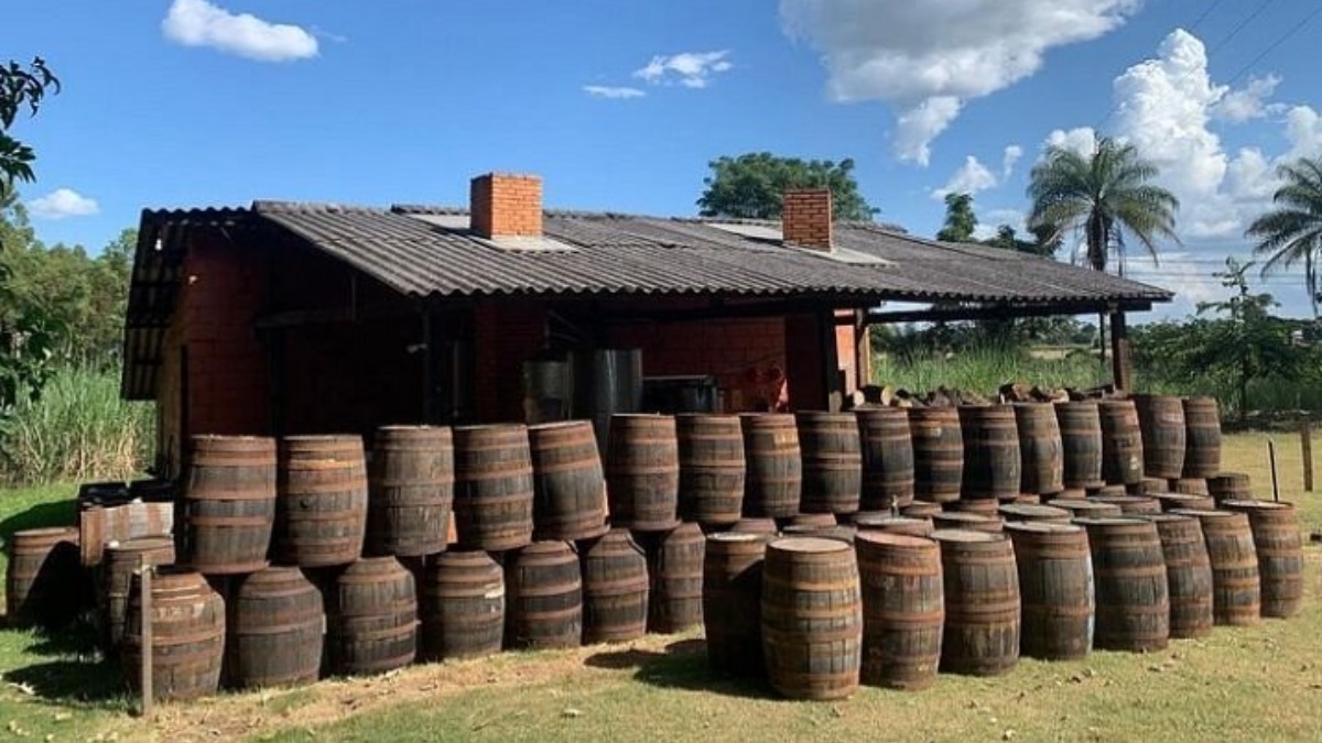O Alambique Cachaça Sapucaia oferece visitas guiadas, onde os turistas podem conhecer o processo de fabricação artesanal da bebida, desde a fermentação até o envelhecimento em barris de carvalho. Ao final do passeio, há uma degustação das cachaças premiadas da casa, que trazem o sabor autêntico da bebida. Foto: Gerencia/Tripadvisor