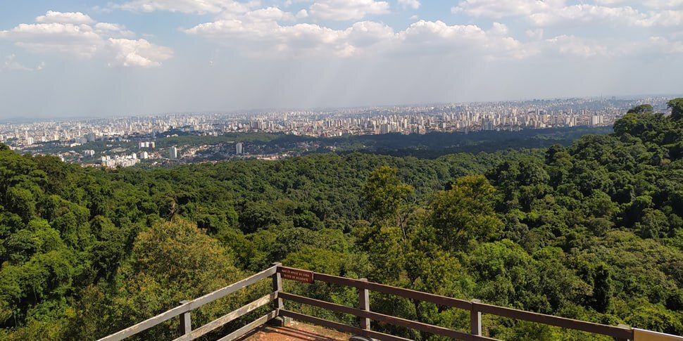 O parque ainda foi declarado parte da Reserva da Biosfera do Cinturão Verde da cidade de São Paulo pela UNESCO em 1994. É considerada uma das maiores florestas urbanas do mundo, possuindo em seu entorno uma alta densidade demográfica - (Divulgação/SEMIL)
