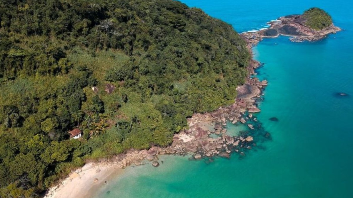 A Ilha do Prumirim pode ser acessada a partir de vários pontos de Ubatuba. O trajeto mais comum é de barco saindo da Praia do Prumirim, com um custo médio de R$ 25 a R$ 50 por pessoa para ida e volta, dependendo do ponto de partida e do tipo de embarcação. Foto: Instagram/@mario_passeios