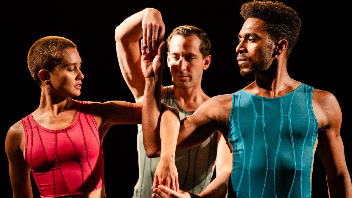 A SPCD, com direção artística de Inês Bogéa, apresenta espetáculos de dança em São Paulo, no Brasil e no exterior Foto: Divulgação/Lari Davies