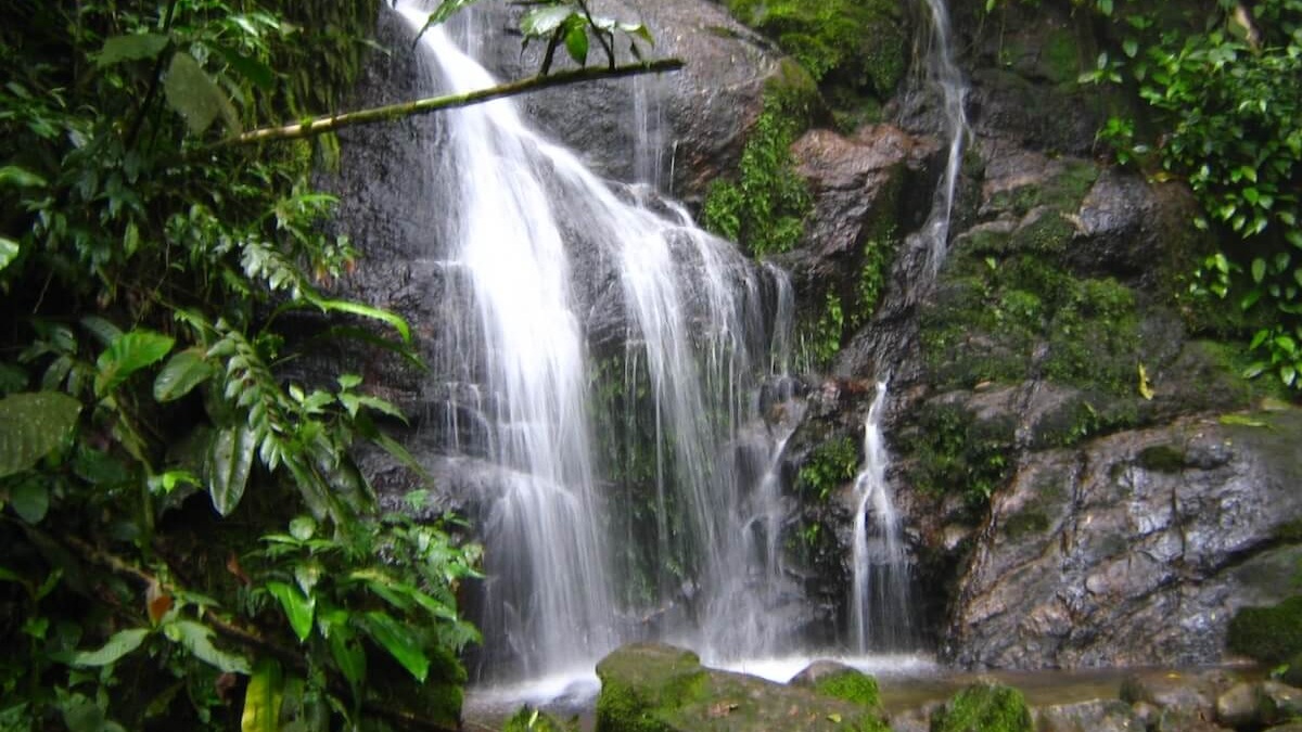 3. Cachoeira Escondida Paranapiacaba - Com o nome sugestivo, a atração fica "escondida" entre as rochas, descendo em vários níveis, e entre as árvores, que cobrem o sol e cercam a queda d'água. É necessário contratar um guia especializado para o passeio, custando na média de R$ 70 por pessoa - (Divulgação/Paranapiacaba Ecotur)