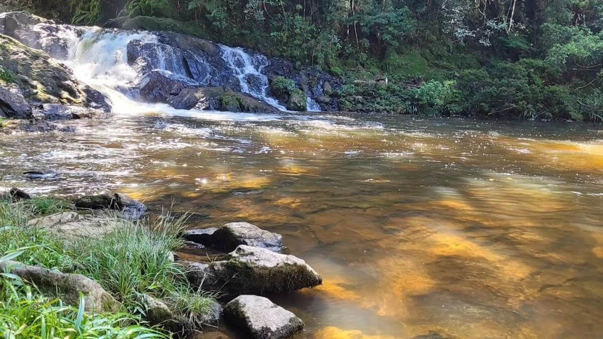 5. Cachoeira do Sagui Engenheiro Marsilac - O Rio Capivari é responsável por diversas quedas d'água em Marsilac, na zona zul. Fica a quase 60 quilômetros do centro de São Paulo e o caminho deve ser feito de carro. Abre diariamente, das 8h às 17h. Para entrar na cachoeira é necessário pagar R$ 30 (crianças até 6 anos e idosos com mais de 65 anos não pagam) - (Divulgação/Cachoeira do Sagui)