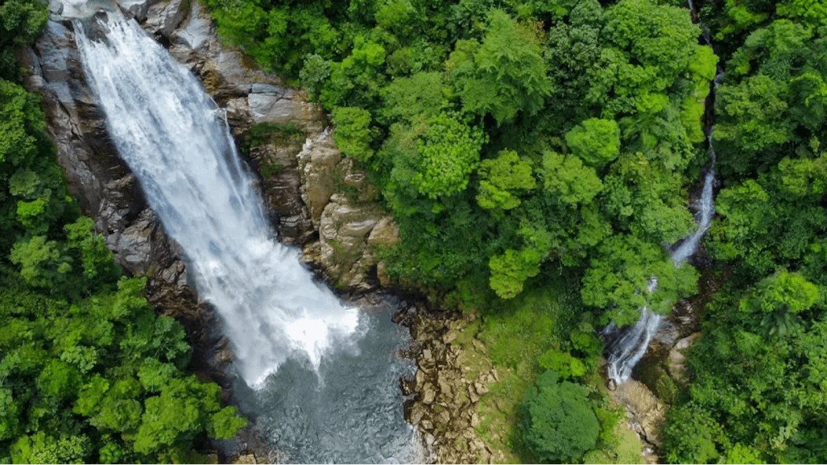 2. Cachoeira do Véu da Noiva Cubatão - Localizada em Cubatão, no litoral sul de São Paulo, a Cachoeira do Véu da Noiva tem a queda de água mais alta de do Estado: são incríveis 80 metros. O local funciona diariamente, das 9h às 16h, com entrada permitida até as 12h. A opção mais barata para visita é contratar um guia credenciado, custando R$ 60 por pessoa - (Divulgação/Parque Estadual Serra do Mar)