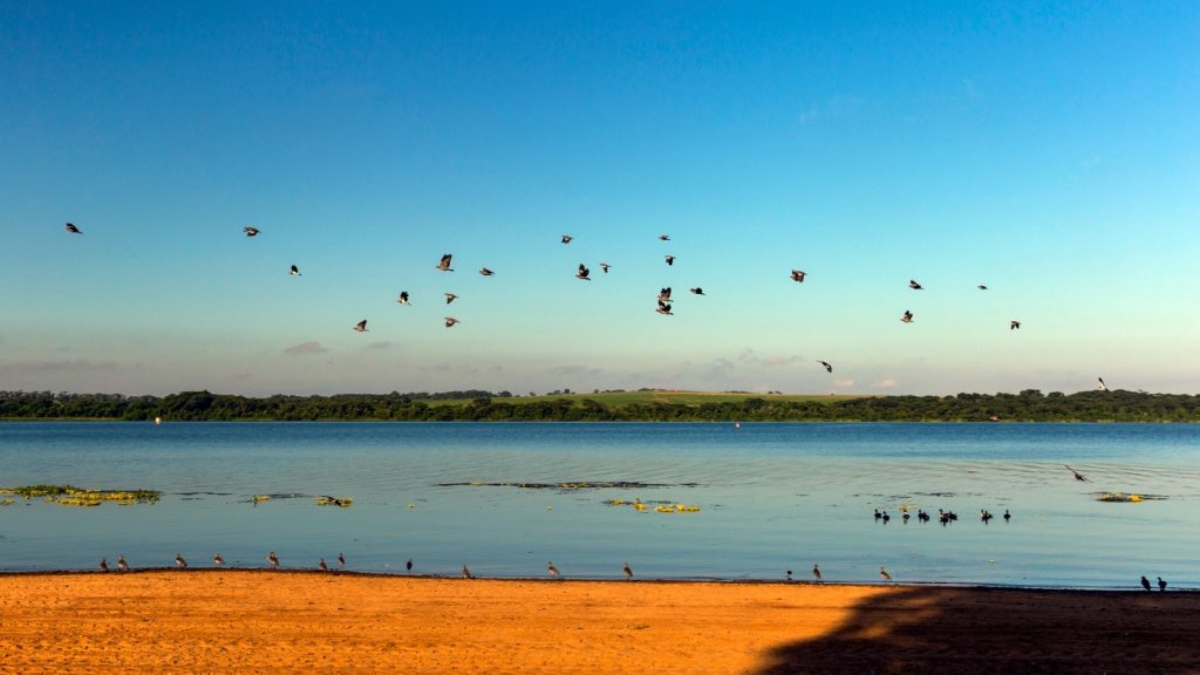 A Prainha Municipal da cidade de Itapura é ideal para um dia de descanso, com estrutura de banheiros, quiosques, churrasqueiras e lanchonetes. Foto: Divulgação/Governo de São Paulo