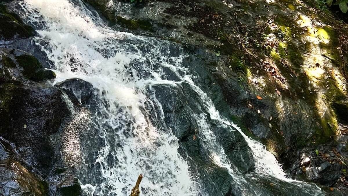 4. Cachoeira do Engordador Parque Estadual da Cantareira - A cachoeira mais perto de São Paulo na lista é a Cachoeira do Engordador, a apenas 24 quilômetros do centro. O parque fica aberto de quarta a domingo e feriados, das 8h às 17h. A entrada custa R$ 55 (inteira) e R$ 27,50 (meia-entrada) - (Divulgação/Parque Estadual Cantareira)