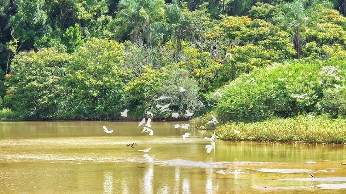 O nível de poluição do local é mais baixo que a média nacional. A temperatura média anual é de 19,6 ºC, o que segundo os moradores e visitantes, contribui para tornar o local muito agradável - (Cristiano Souza/Google Reviews)