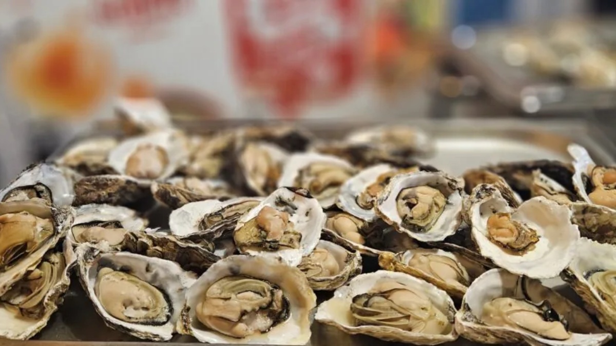 Ostras frescas ao bafo é um dos pratos especiais de quarta-feira e sábado /Foto: Divulgação/Ceagesp