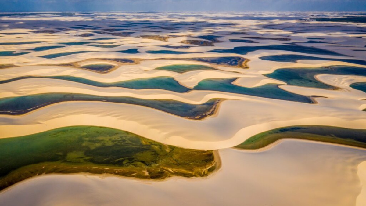A dunas cercadas por lagoas de água doce compõem cerca de 57% da área do parque, que abriga mais de 100 espécies de plantas e animais em extinção como a ave guará, a lontra-neotropical, o gato-do-mato e o peixe-boi-marinho. Foto: Christian Dimitrius/Parque Nacional dos Lençóis Maranhenses no Facebook/Reprodução