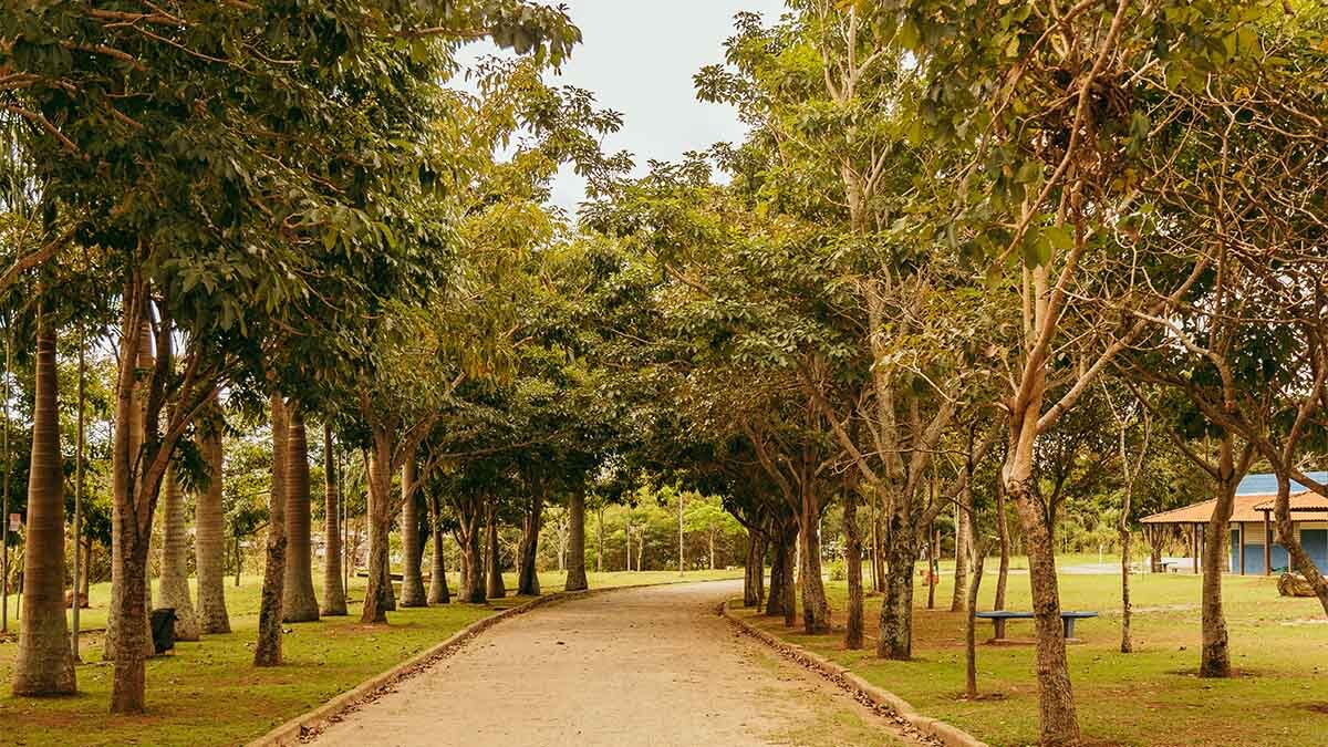 Parque Praia do Sol - Foto: Daniel Reis/Secretaria do Verde e do Meio Ambiente