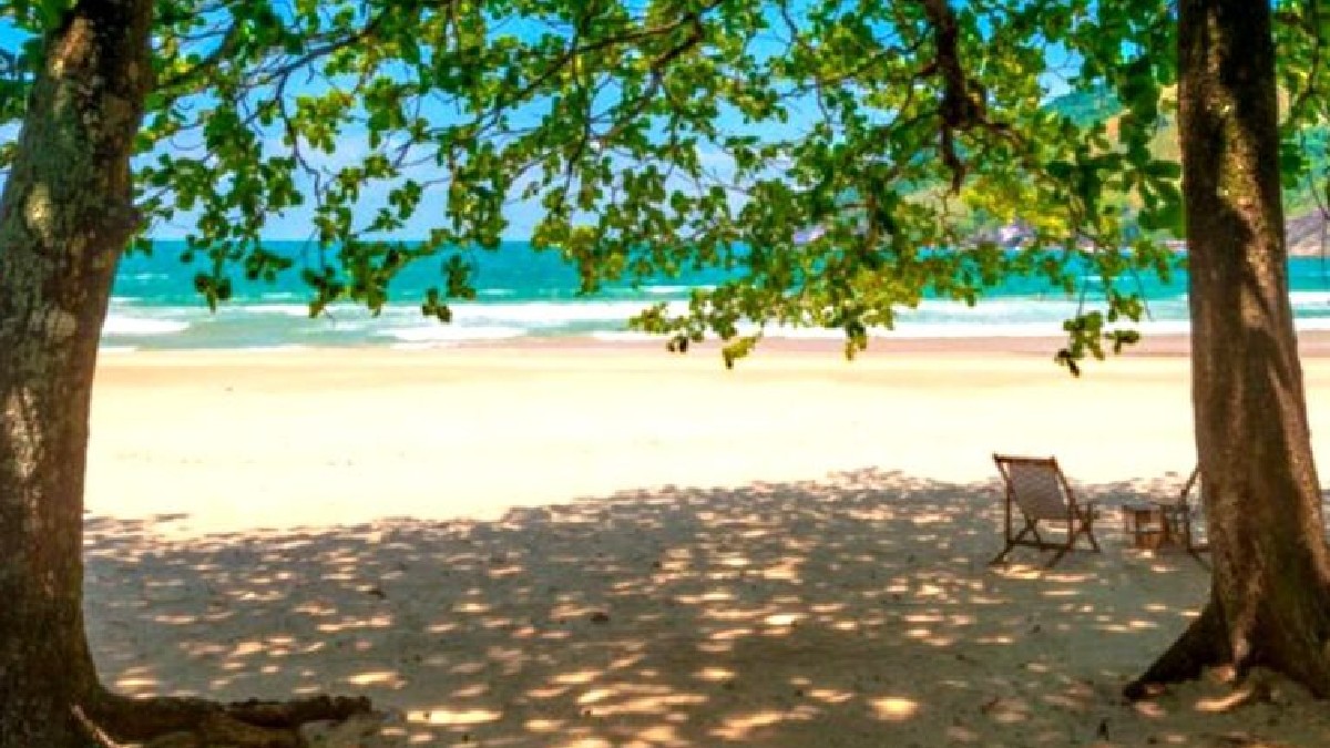 Considerada uma das duas praias mais bonitas do estado de São Paulo, Bonete não é uma praia deserta por acaso: se não quiser ir de barco, a trilha de acesso dura até quatro horas. É uma boa dica de passeio para passar o dia em um dos lugares mais bonitos do Brasil e também bastante isolado da movimentação do nosso litoral - (Divulgação)