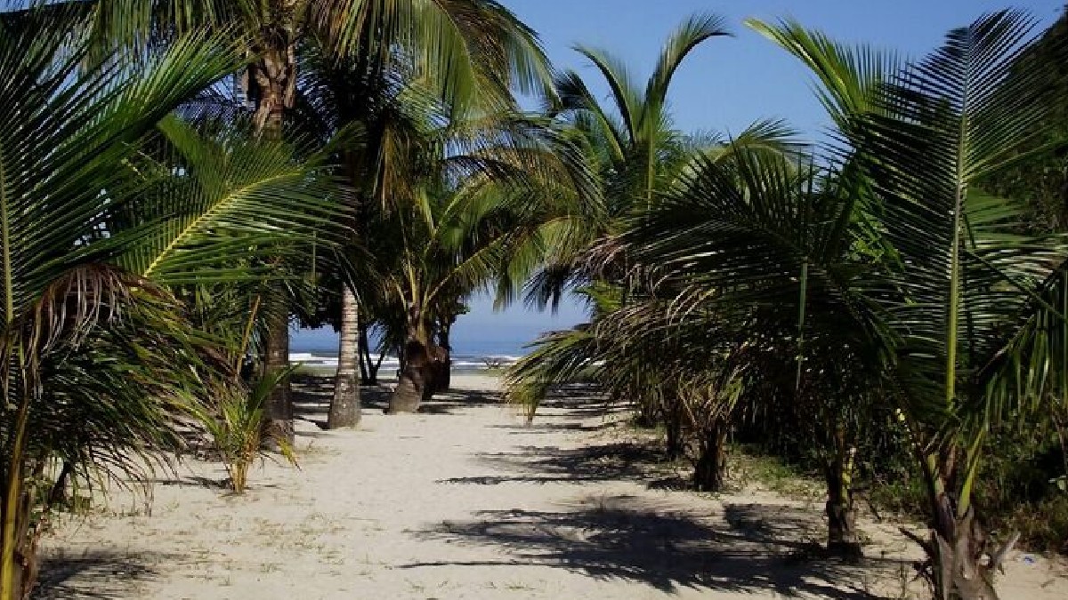 Apesar do acesso mais difícil por conta de serras e estradas de pedra, a praia Caramborê é perfeita para quem quer se isolar. Não há sinal de celular. Ou seja: se prepare para ficar completamente off - (Divulgação)