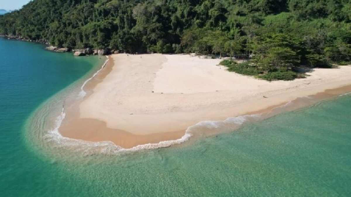 Na ponta direita da praia de Prumirim, caiçaras se encarregam de fazer o transporte (R$ 40 a R$ 50, dependendo da época) para a ilha que leva o mesmo nome. No local de águas verdes formam-se piscinas naturais - (Divulgação)