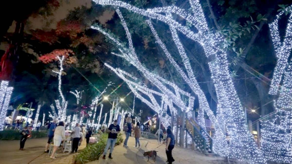 Natal Solidário de 2024 é considerado o "maior da história" da cidade. Foto: Divulgação