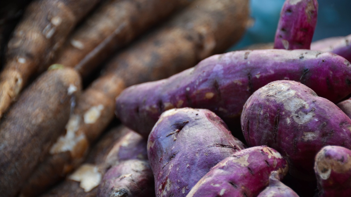 Esse tubérculo é uma excelente fonte de vitamina A, essencial para a saúde do sistema imunológico. Foto: Wikimedia Commons