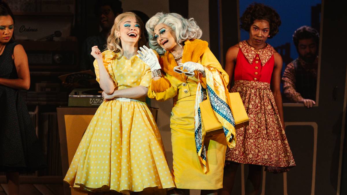 O elenco de 'Hairspray' foi composto grandes nomes do teatro como Aline Cunha, Ivan Parente, Lindsay Paulino, Pâmela Rossini, Rodrigo Garcia, Thales Cesar, Tiago Abravanel, Liane Maya, Verônica Goeldi, Vânia Canto e muitos outros.Foto: João Caldas/Divulgação