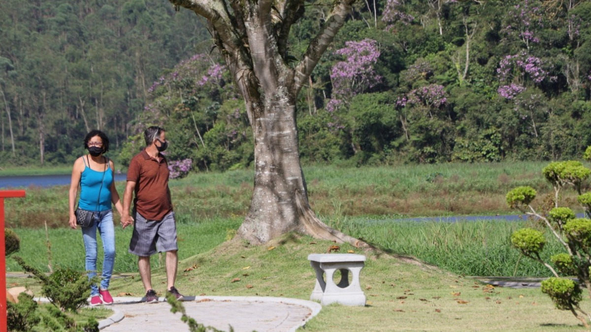 Jardim zen: reflexão e contemplação: O jardim zen, com areia e pedras, simboliza o mar e suas ondulações. É um convite para momentos de meditação e tranquilidade.