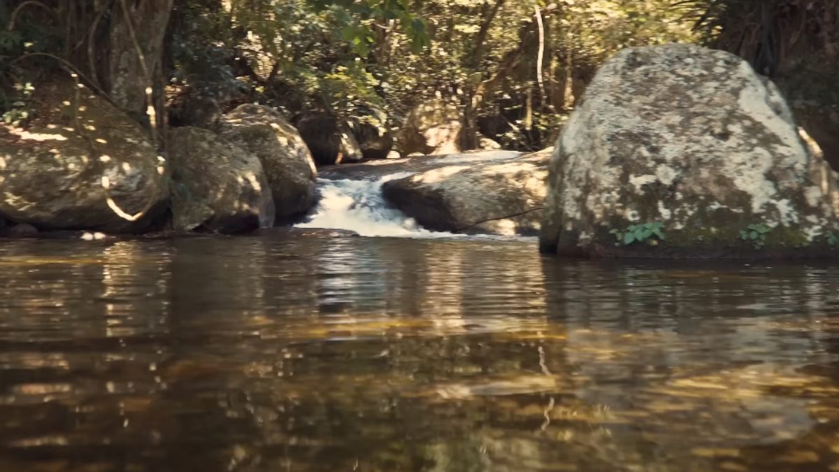 Leve repelente e água para aproveitar a experiência de forma confortável.