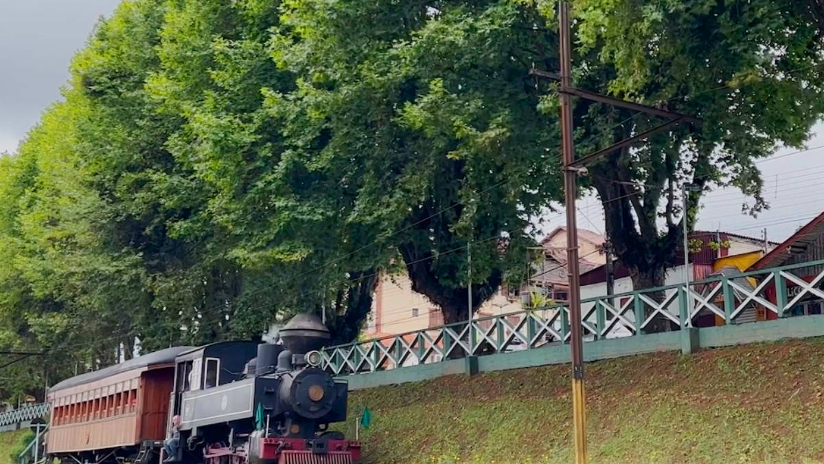 No verão, um refúgio fresco. O clima ameno atrai turistas que buscam escapar do calor das metrópoles.