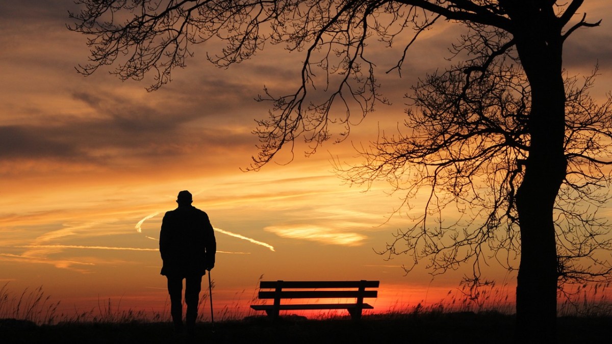 Os principais sinais incluem perda de interesse por atividades, dificuldade de concentração, alterações do sono como insônia ou sono excessivo e diminuição ou ausência de libido. Foto: Pixabay