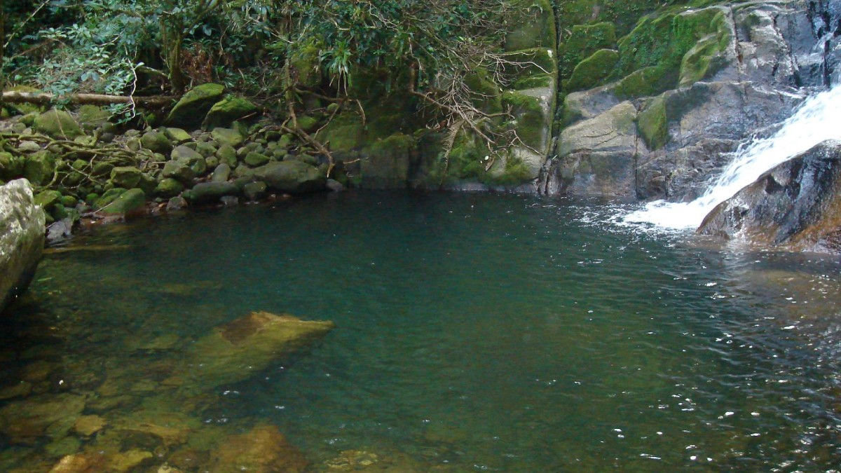 Com uma população de 12,5 mil habitantes, a cidade preserva biodiversidade única da Mata Atlântica, incluindo mangues e restingas.