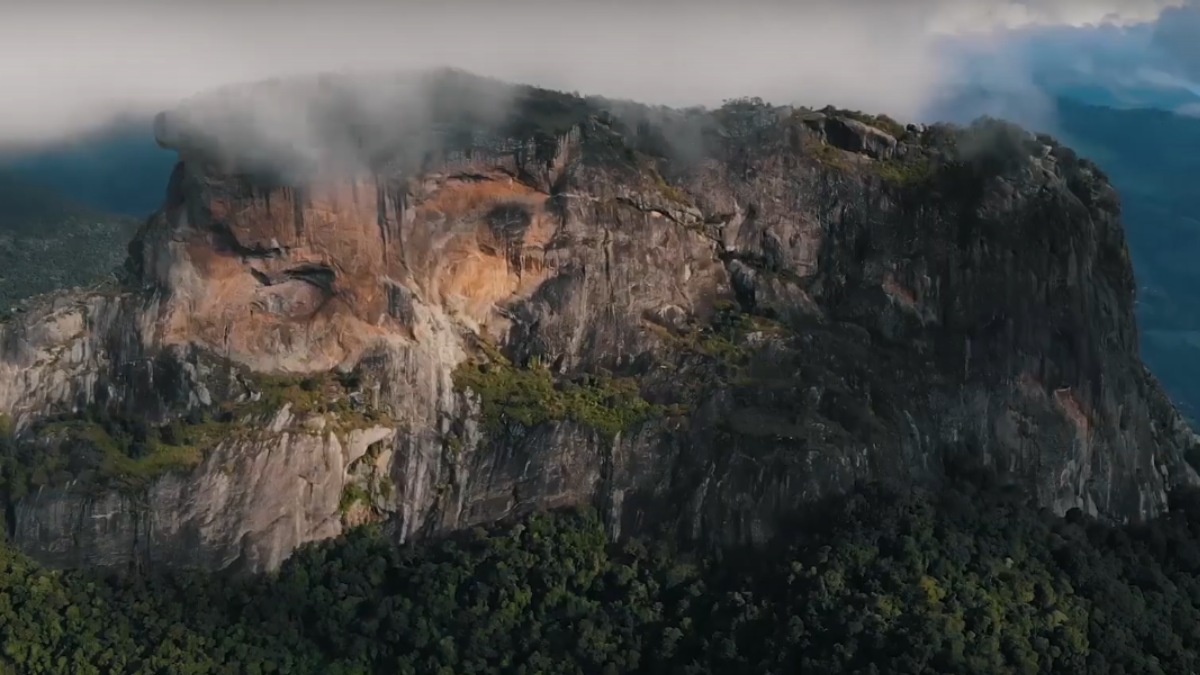 O clima frio e a altitude favorecem o cultivo de uvas. Esses fatores tornam a cidade um destino ideal para enoturismo.
