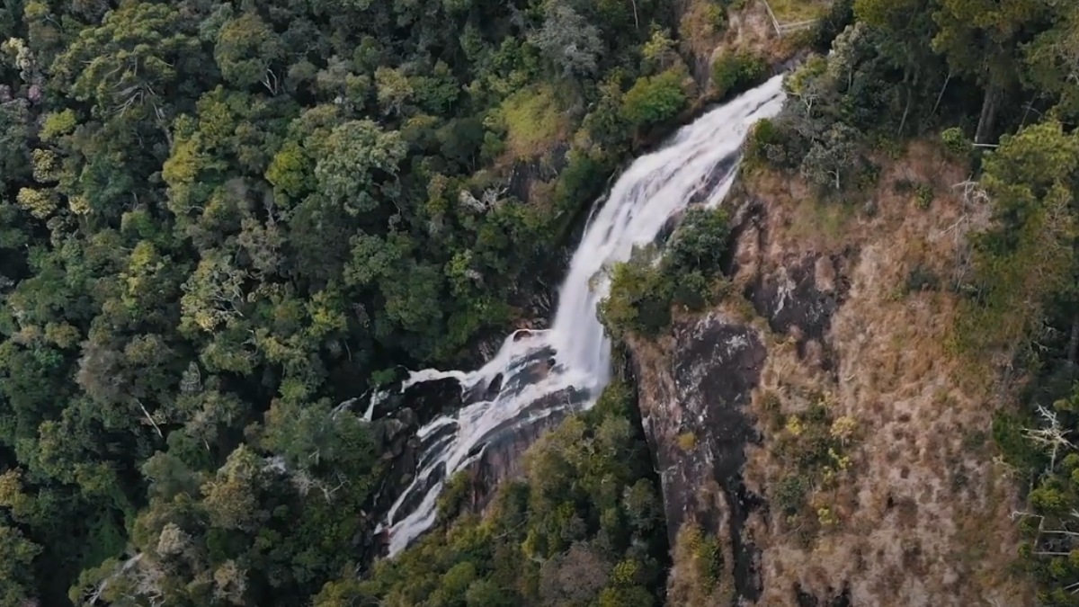 São Bento do Sapucaí, na Serra da Mantiqueira, é conhecida como a "Toscana brasileira". A fama vem de delícias como vinhos, queijos, cervejas e azeites.