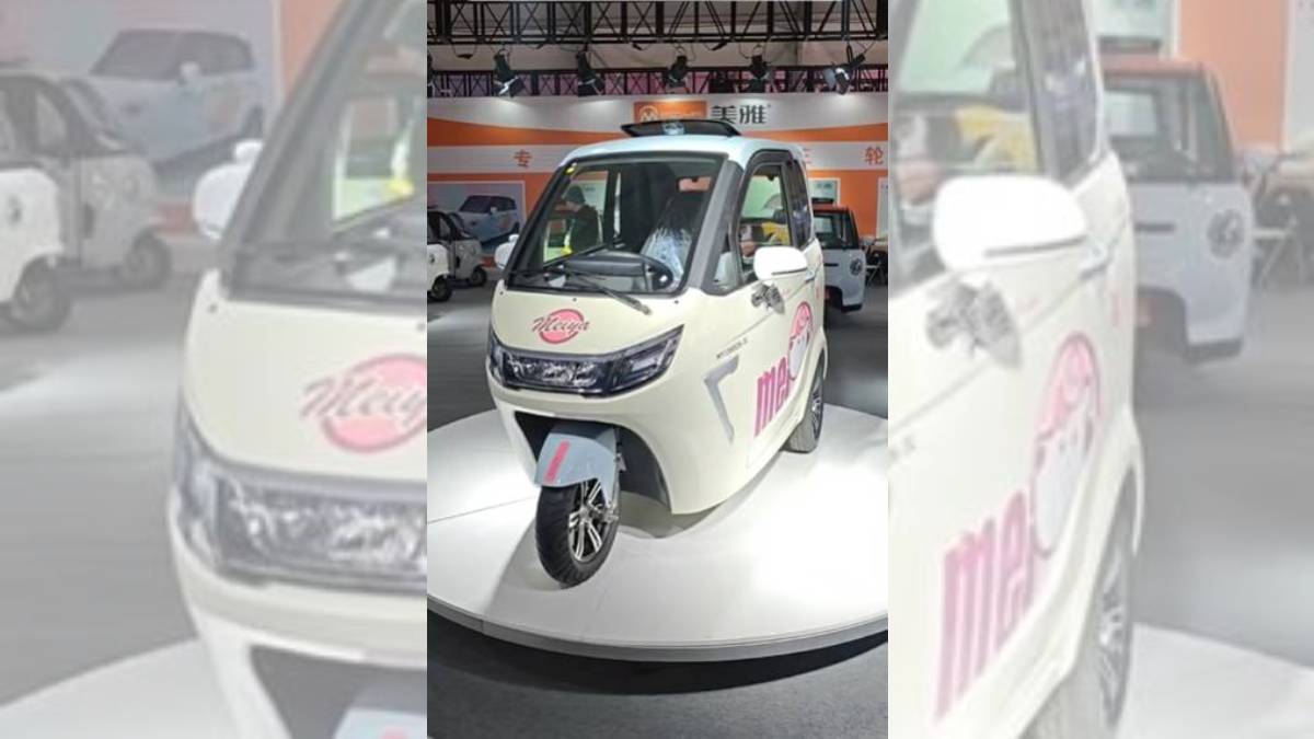 Veículo tem uma variação enorme de plotagens e personalizações. Foto: Reprodução/TikTok