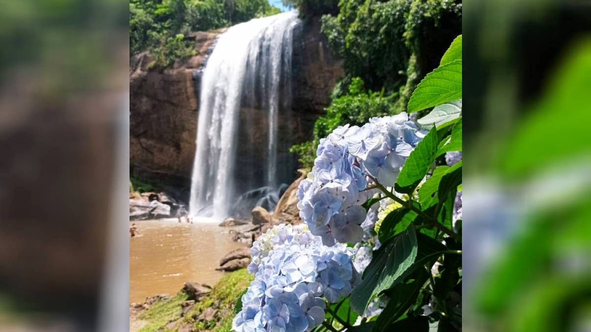 A atração fica na Estrada da Cachoeira Grande, Lagoinha - SP. Partindo da Capital, são cerca de duas horas até o local. O local funciona aos sábados, domingos e feriados, das 9h às 17h. A entrada custa R$ 22 por pessoa. Crianças com menos de 12 anos não pagam e pessoas com mais de 60 anos têm 50% de desconto - (Divulgação/PML)