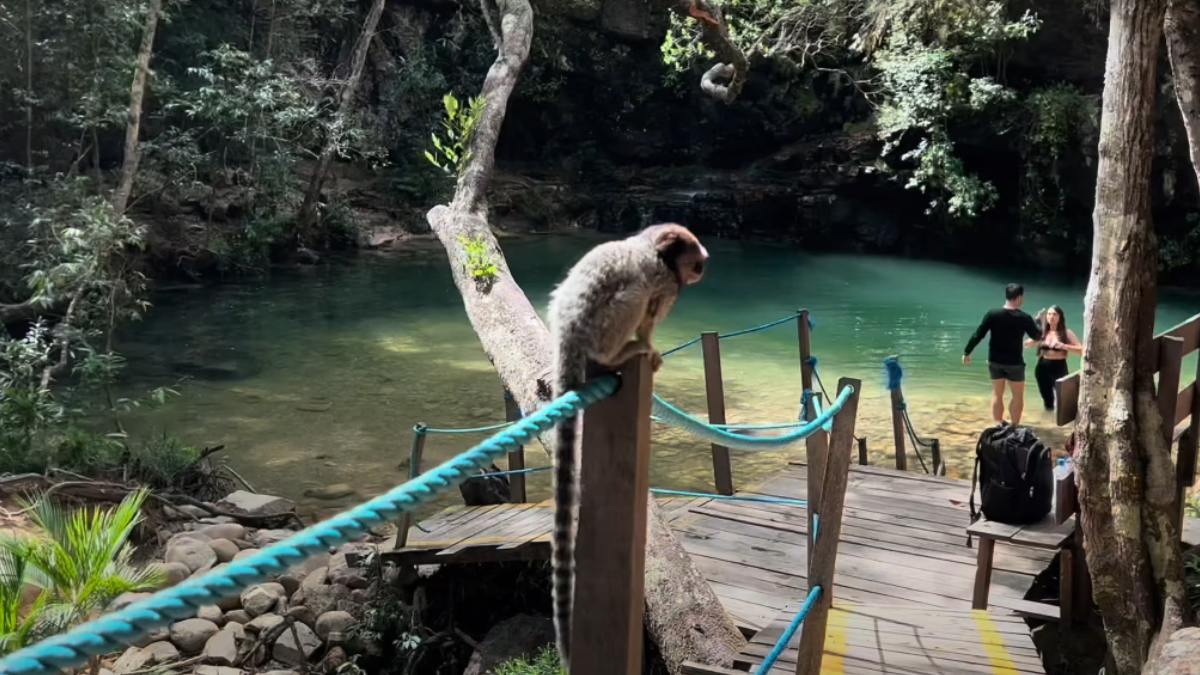 A Cachoeira dos Cristais é perfeita para um dia tranquilo. Além das quedas d'água, há um restaurante com vista panorâmica.