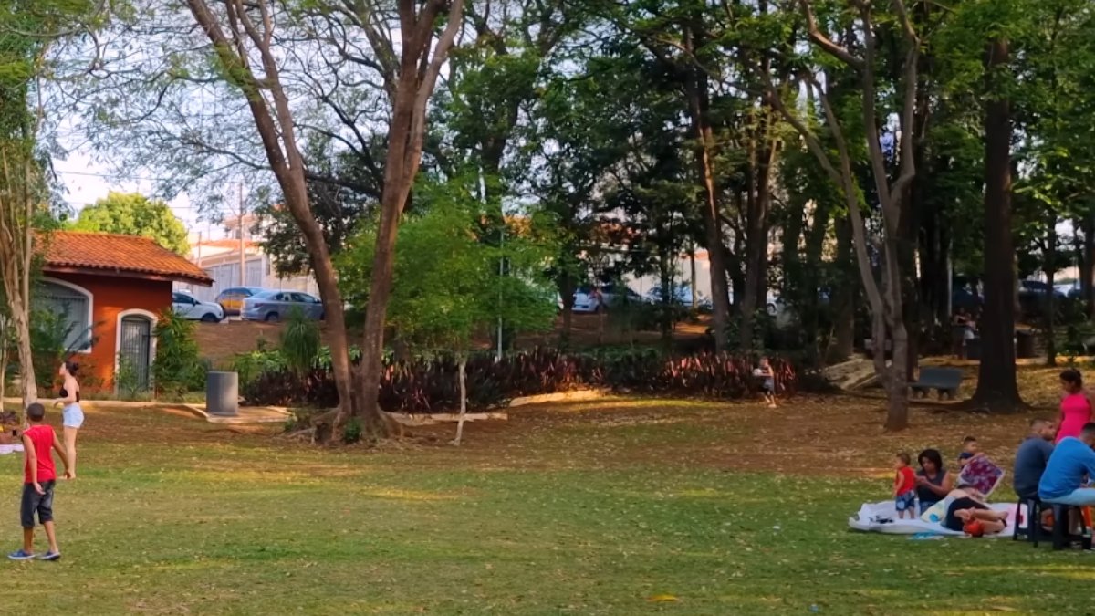 Em 2022, o salário médio mensal em Paulínia foi de 4,6 salários mínimos. A cidade lidera a RMC e ocupa a segunda posição no estado de São Paulo. (Fotos: Reprodução/Youtube/LucasNicácio TV)